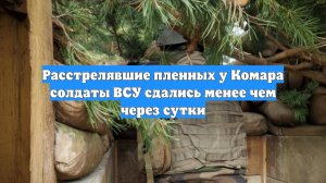 Расстрелявшие пленных у Комара солдаты ВСУ сдались менее чем через сутки