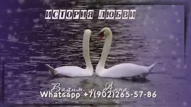 Новейшие поздравления на свадьбу молодых, заказать слайд шоу из фото смотреть онлайн