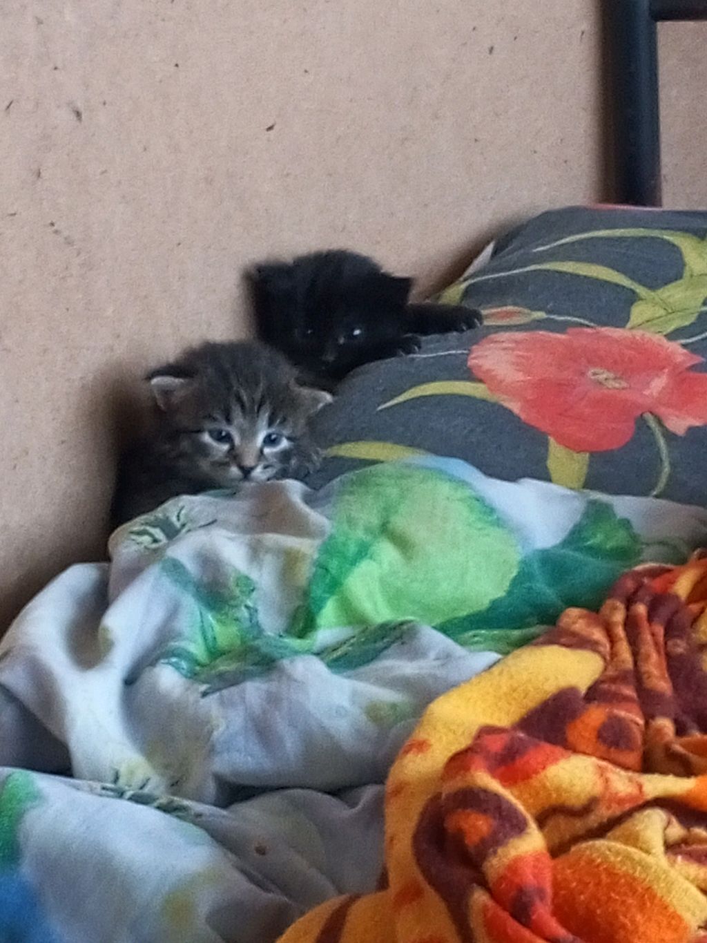 ..... смотреть онлайн