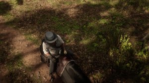 ПРОХОЖДЕНИЕ  RDR 2 ЧАСТЬ 10