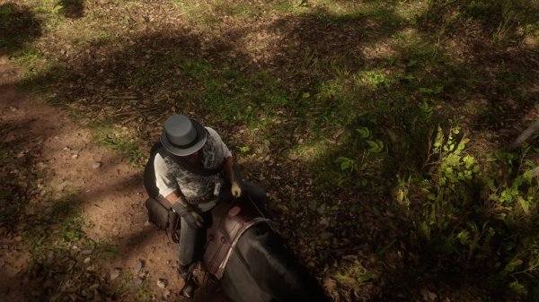 ПРОХОЖДЕНИЕ  RDR 2 ЧАСТЬ 10