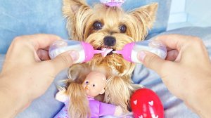 КОРОЧЕ ГОВОРЯ, ЗЛОЙ ПЁС СТАЛ РЕБЕНКОМ