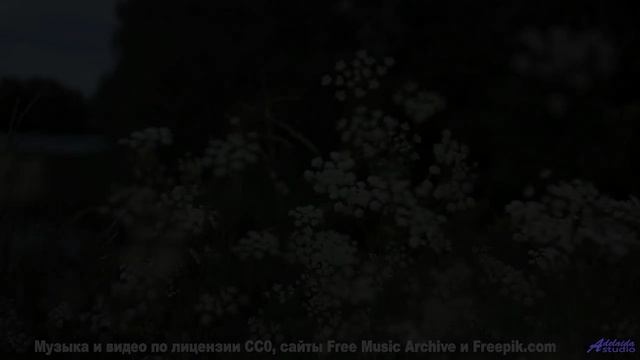 Нереальные поля, чарующая мелодия - ты залипнешь! - Cant Control The Narrative -- One Man Book -- Br