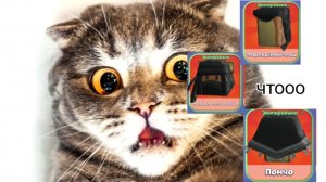 как найти пончо маску для песчаной бури повреждёный плащ