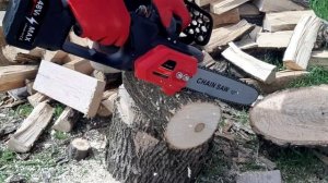 Лучшая бюджетная электропила