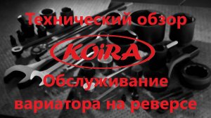 Обслуживание вариатора на реверс-редукторе Койра Богатырь