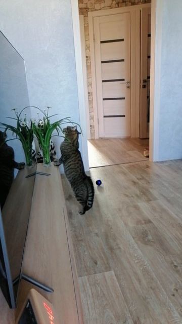 VID_20250709_093812 смотреть онлайн