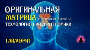 Гайморит ⚠️ Оригинальная программа матрица по технологии Гаряева ☀️ SoftRadio.ru
