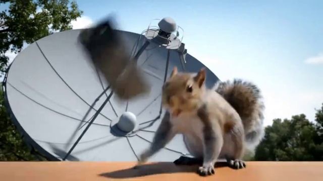 БЕЛКА ИЩЕТ СЕТЬ НА АЙФОНЕ📱🔭 смотреть онлайн