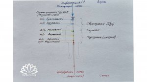 Жизненная среда Сознания | Структура | Энерго-информационная система человека | Информационика