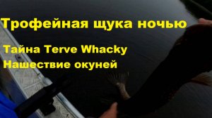 Тайна Terve Whacky Крупная щука ночью.