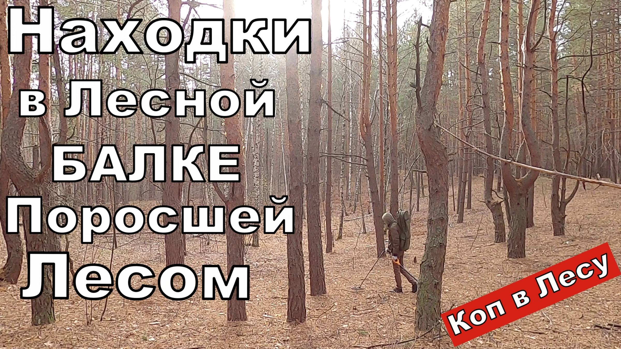 Ищу АРТЕФАКТЫ в Лесной Балке. ТРОФЕИ не Заставят Долго ЖДАТЬ