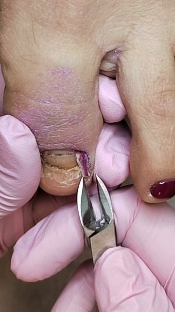 Севиль Гарибян