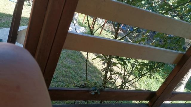 СОЧИ ГОРНОЕ ЛОО ВЕЧЕР 11.07.2025 смотреть онлайн