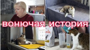 11-07-2025 ПРО КОНКУРС В ВИДЕО!!! * ВОНЮЧАЯ ИСТОРИЯ со  2-й по 31 мин