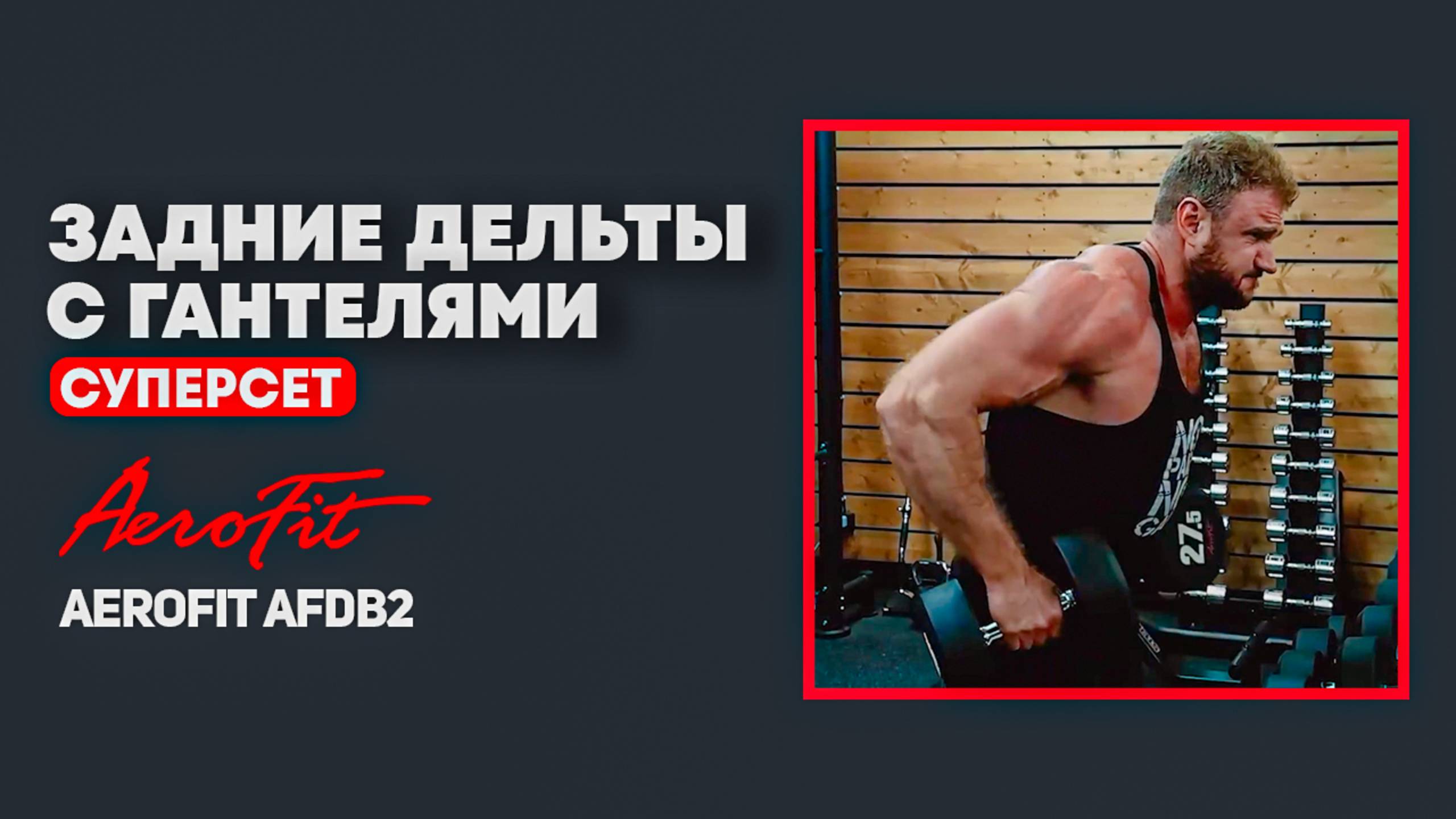 ЗАДНИЕ ДЕЛЬТЫ с Гантелями: Мощный Суперсет Aerofit AFDB2 смотреть онлайн