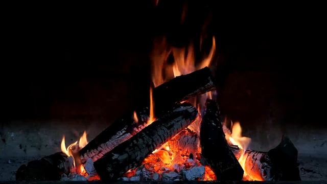 Как ВЫЖИТЬ в этом враждебном мире - ПОСОБИЕ от С.Н. Лазарева смотреть онлайн