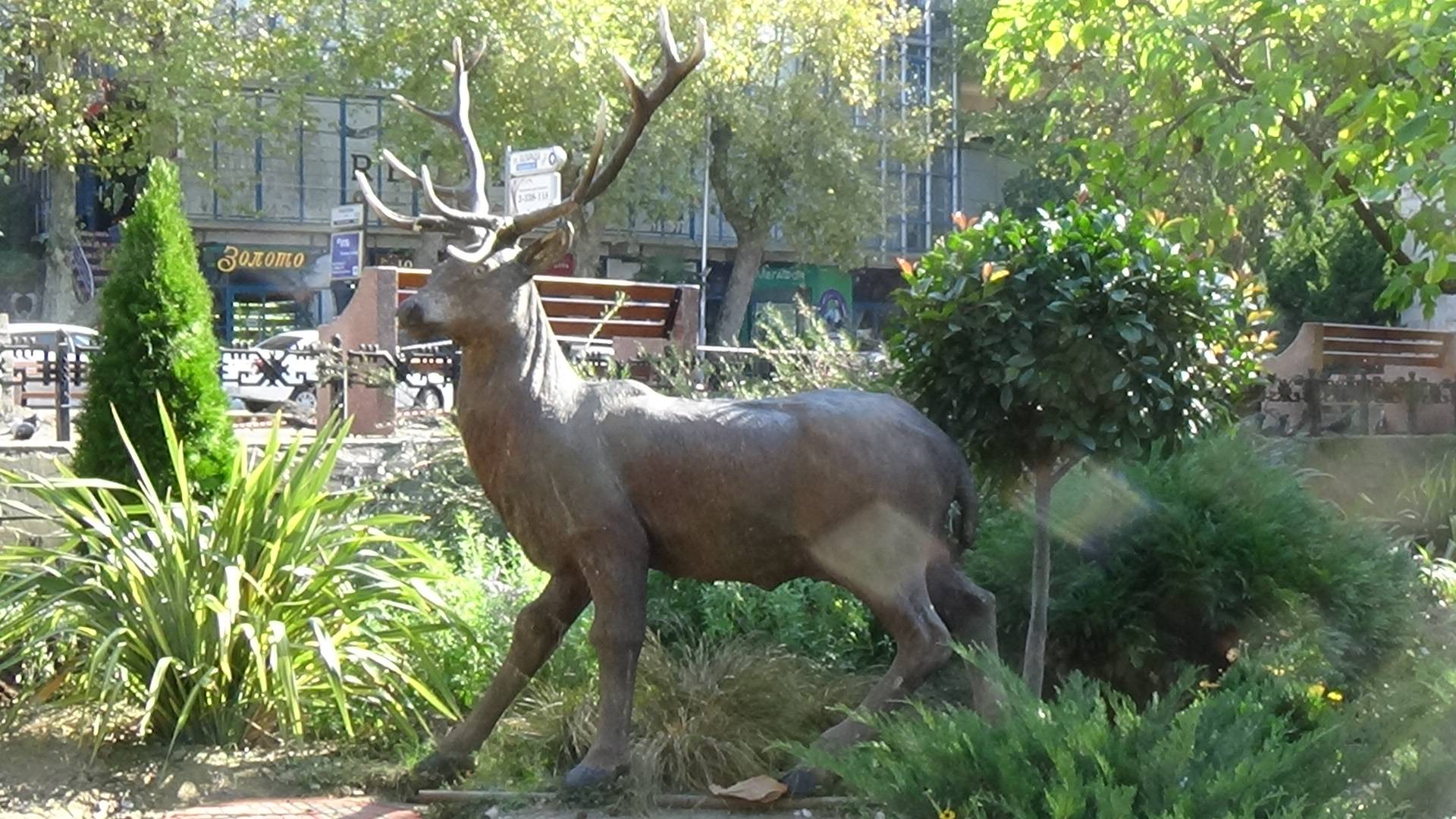 лазаревское куда сходить улица Павлова Лазаревское в честь кого названа