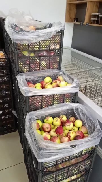 ЯгодГрад / Свежая ягода из Киргизии