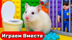 Секретная ЛЕГО ТЮРЬМА для Умного Хомяка ! Выбираемся вместе с ХОМЯКОМ 🐹