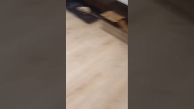 💅🏻 смотреть онлайн