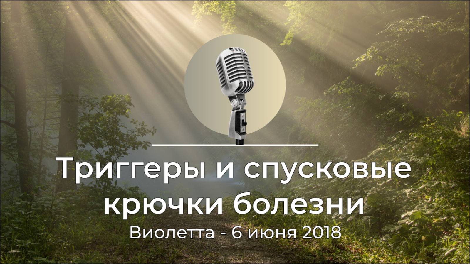 Спикерская из золотого фонда АНЗ "Триггеры и спусковые крючки болезни" Виолетта, 6 июня 2018г. смотреть онлайн