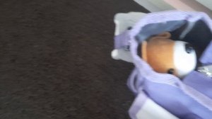 что в моей сумке