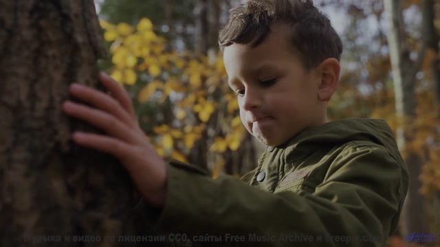 Хочется бежать по полям под этот невероятный саунд - Space Orbit -- Scott Holmes Music -- Media Musi смотреть онлайн