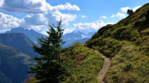 Этапы большого пути. Где ты сейчас?