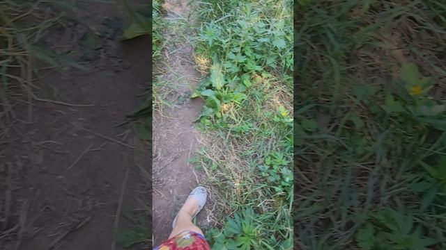 пляж в Софьино смотреть онлайн