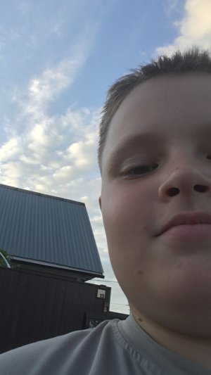 Приехал в деревню