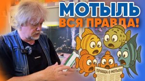 Аквариумные новости с Владимиром Ковалёвым (11.07.2025). Мотыль - ВСЯ ПРАВДА.
