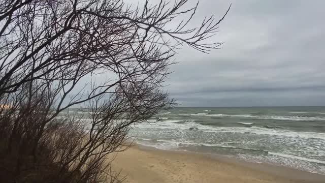 4 января 2024 г. смотреть онлайн