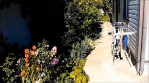 Где отдохнуть на море в России в 2025 году? Архипка, Ореховая, 12. Галина