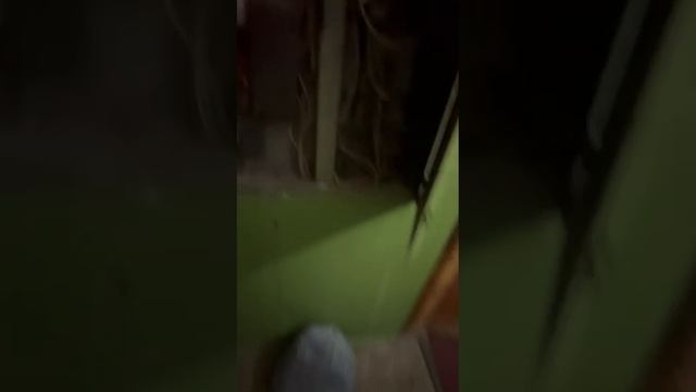 WhatsApp Video 2025-07-12 at 10.48.18 смотреть онлайн