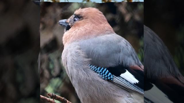 Это интересно-28