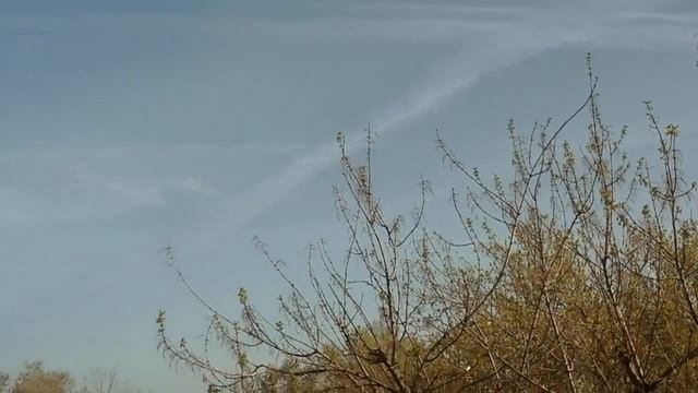 Треугольник и ПЕРЕКРЕСТИЯ -- ДВА !) БЛАГОДАРЮ , ⭐️ОМУТ⭐️