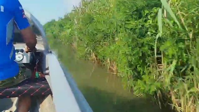 На моторной лодке к лотосам у станицы Голубицкая смотреть онлайн