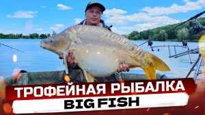 КАК ЛОВИТЬ КАРПА?! Трофейная рыбалка! Карпы монстры!!! Водоем Big Fish!#fishing26
