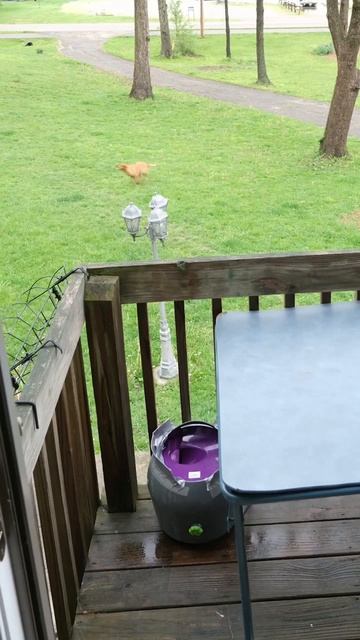 занятно смотреть онлайн