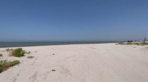 Азовское море, Ясенская коса. Приехали искупаться. 11 июля 2025г.