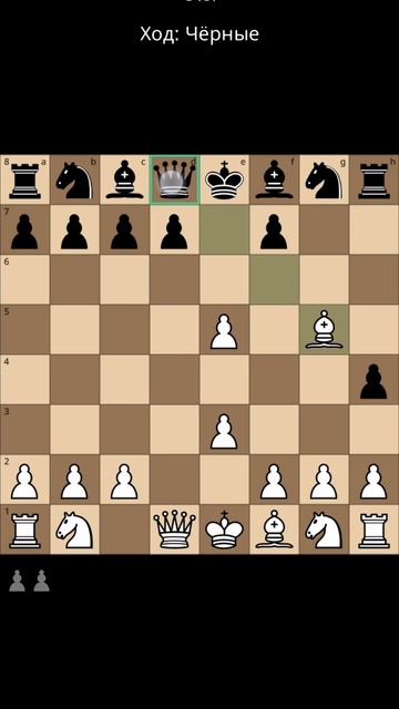 Ты любишь играть d4, а твой соперник отвечает h5 в шахматах.