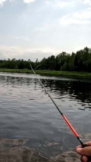 Бюджетный тревел спиннинг. Maximus POINTER-X Travel Jig 21UL