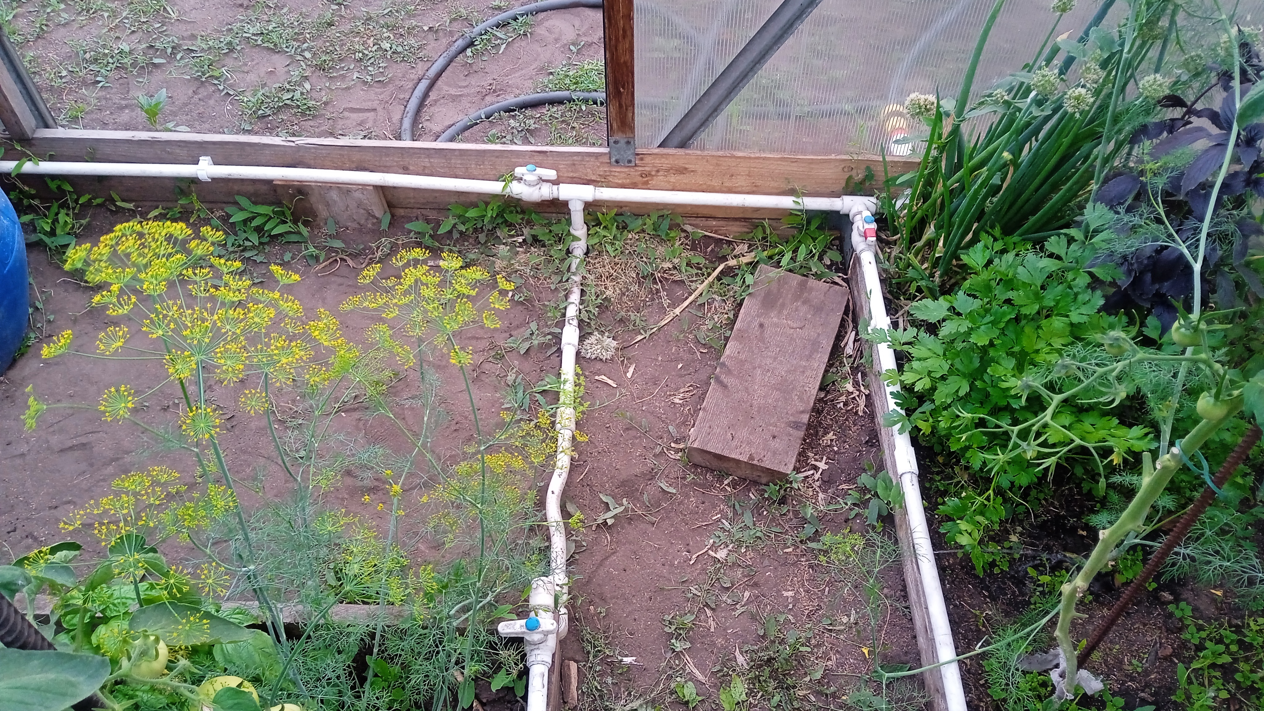 СИСТЕМА ПОЛИВА ТЕПЛИЦЫ СВОИМИ РУКАМИ ИЗ ПОЛИПРОПИЛЕНА смотреть онлайн