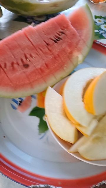 20250701_152656 смотреть онлайн