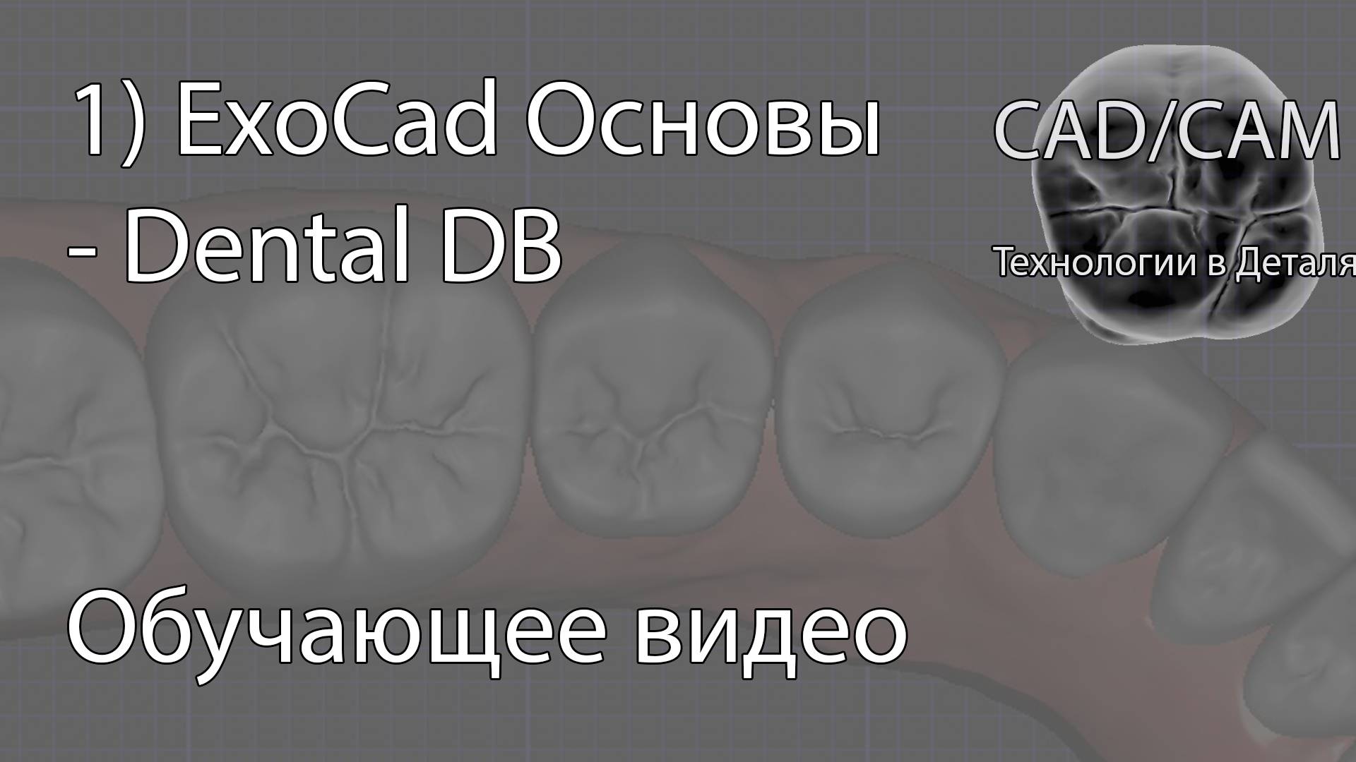 1) ExoCad Основы - Dental DB смотреть онлайн