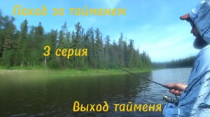 Рыбалка на тайменя. Мощные поклёвки хозяина рек. день 3