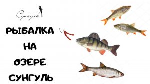 Семейный отдых. Рыбалка. о. Сунгуль Челябинск #сезонконтентаRUTUBE