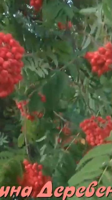 Трогательно! Как давно я дома не был - Виктор Бекк смотреть онлайн