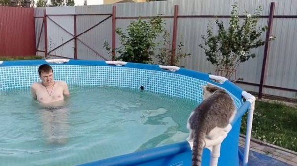 Сиеста Артема